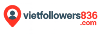 vietfollowers836